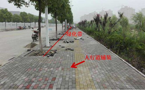 市政工程規范要求、識圖算量與施工工藝解讀